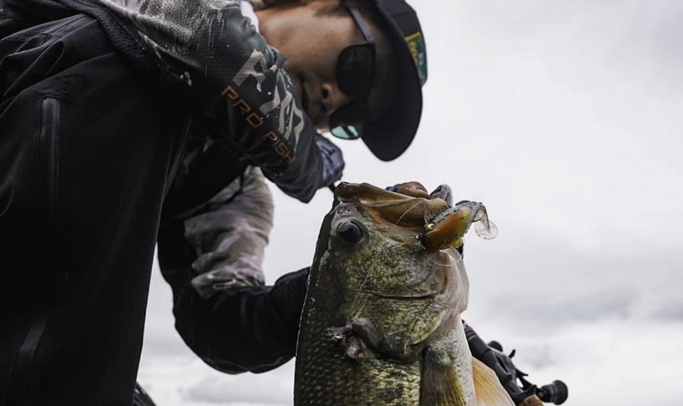 Megabass