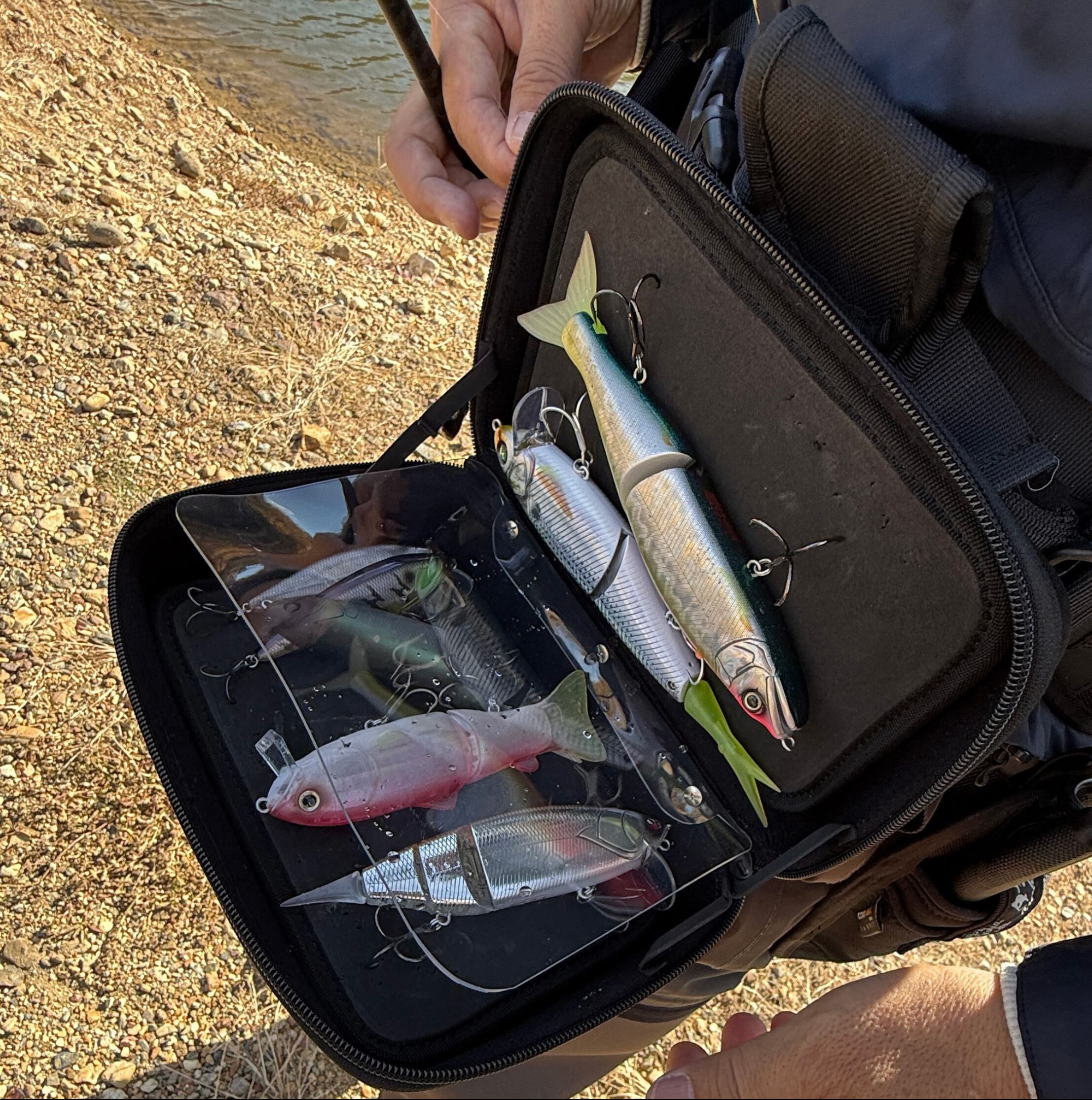 LINHA MSB-66　NEW LURE STOCKER