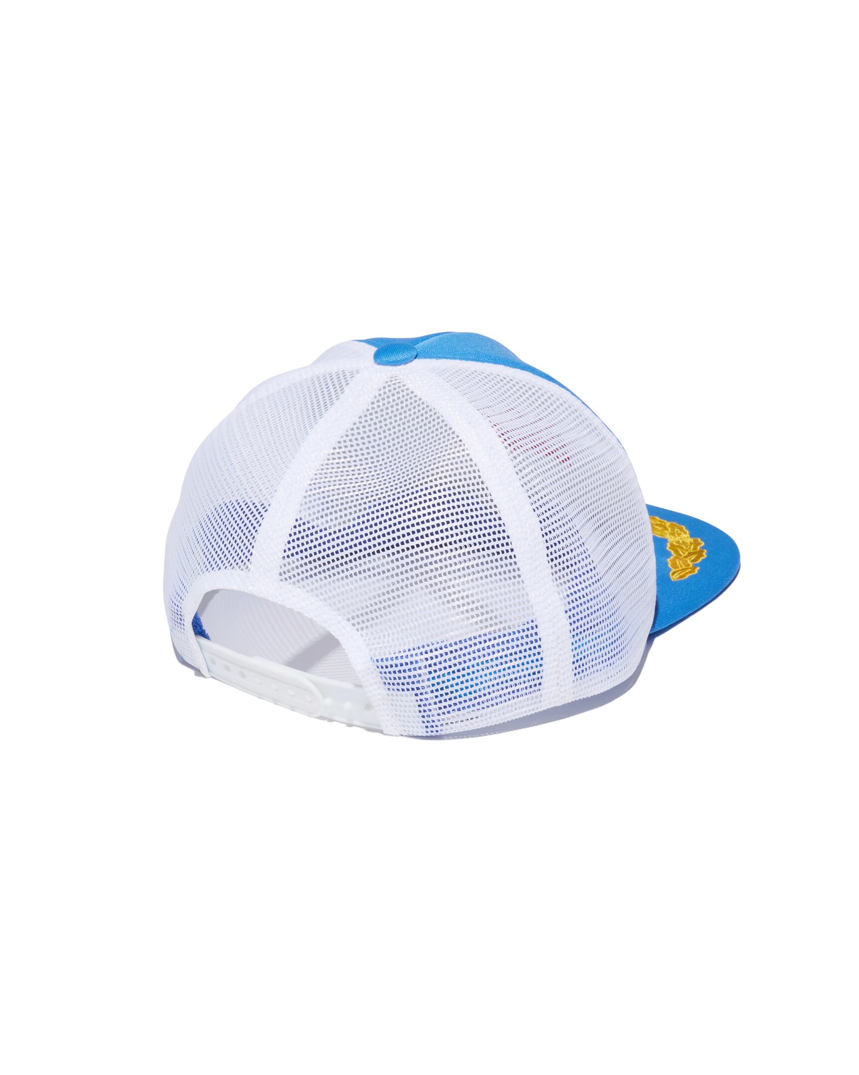Chaos Fishing Club Join The CFC Mesh Cap