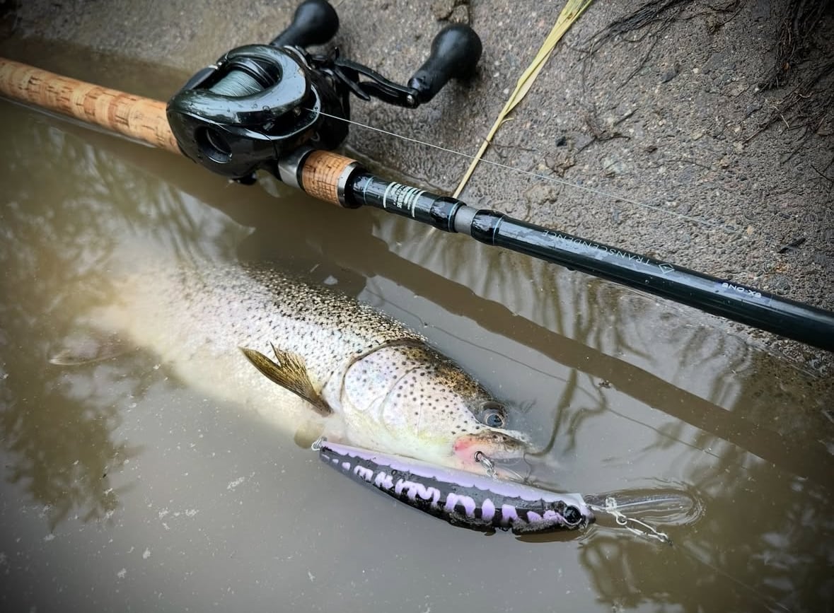 JUNCTION×TRANSCENDENCE  ”LateBloomings Junction Ver.60＋”