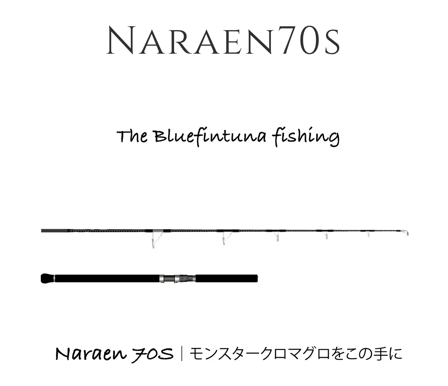 ※送料無料対象外　TRANSCENDENCE　Naraen70s