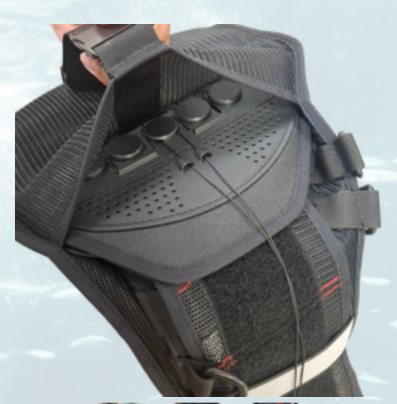 ※送料無料対象外　SAKURA OCEAN TROPHY PELVIC SUPPORT BELT