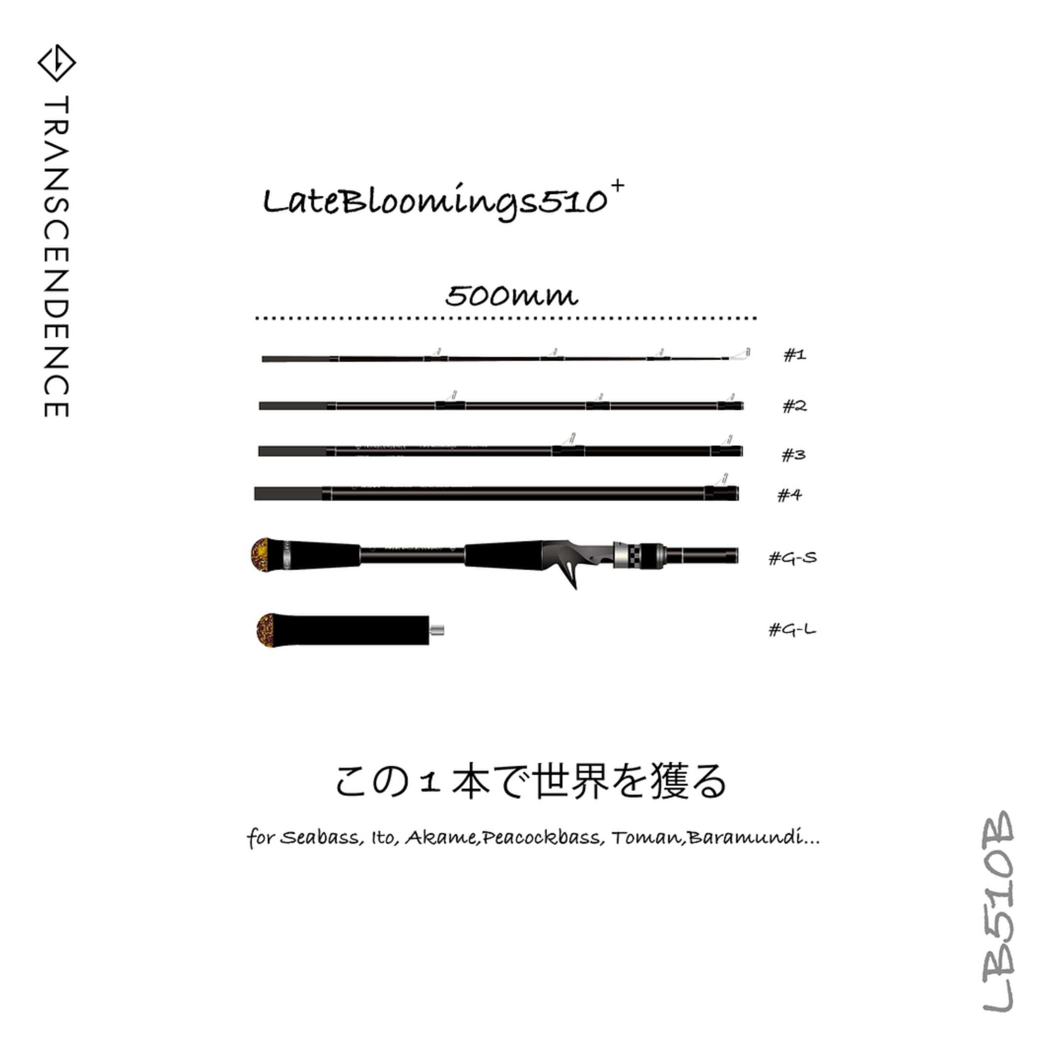 TRANSCENDENCE LateBloomings510+Rev2.0 – JUNCTION ASAHIKAWA