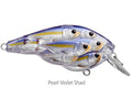 LIVE TARGET BaitBall SquareBill65