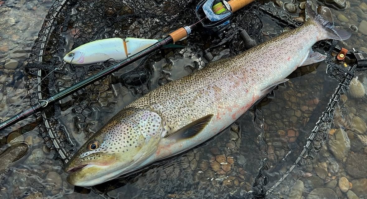 JUNCTION×TRANSCENDENCE  ”LateBloomings Junction Ver.60＋”