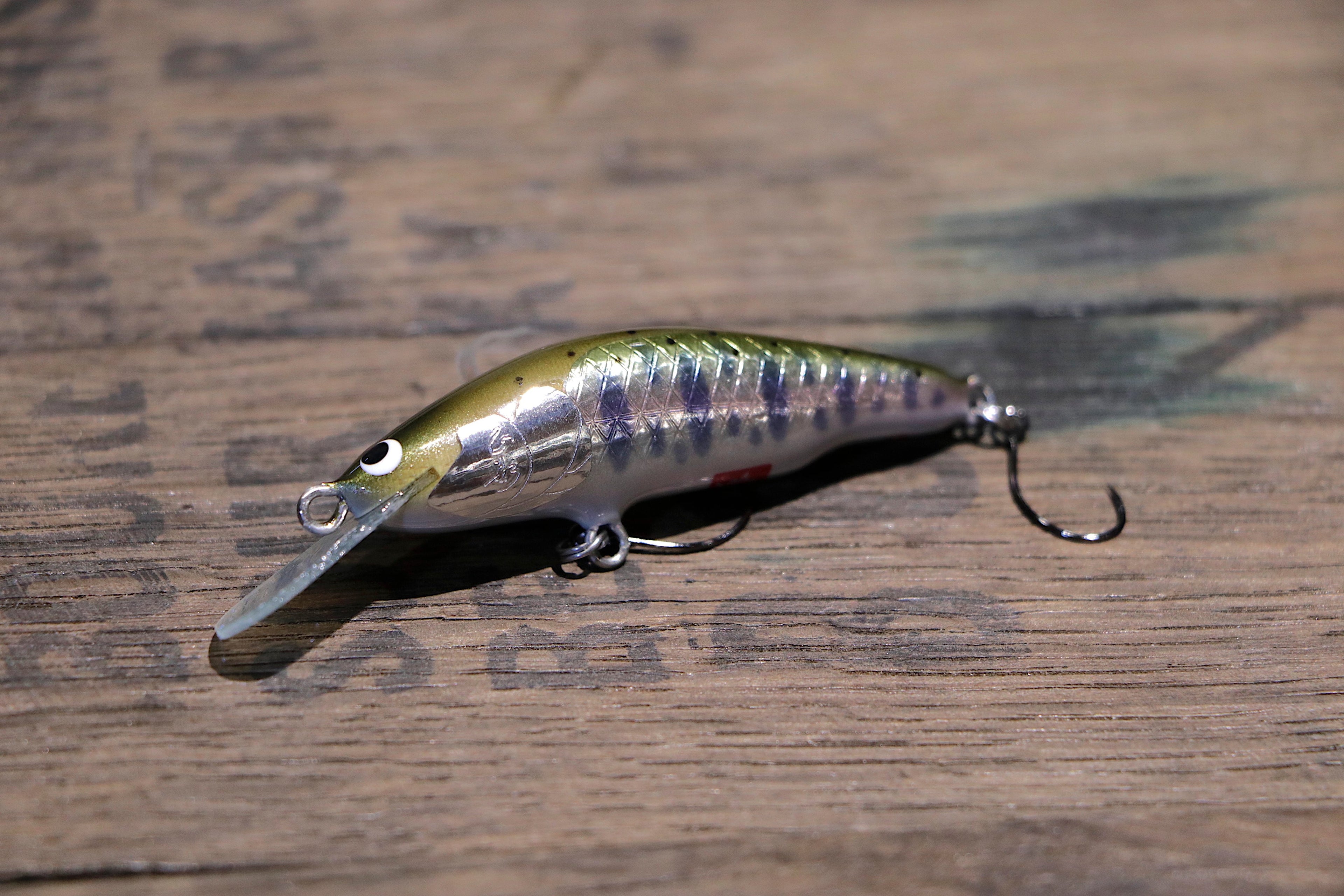 WooDream Arbor 50S MD