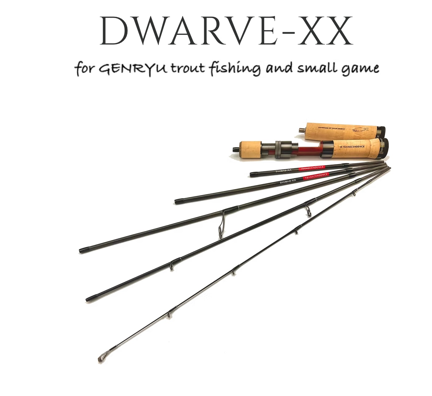 TRANSCENDENCE  Dwarve-XX