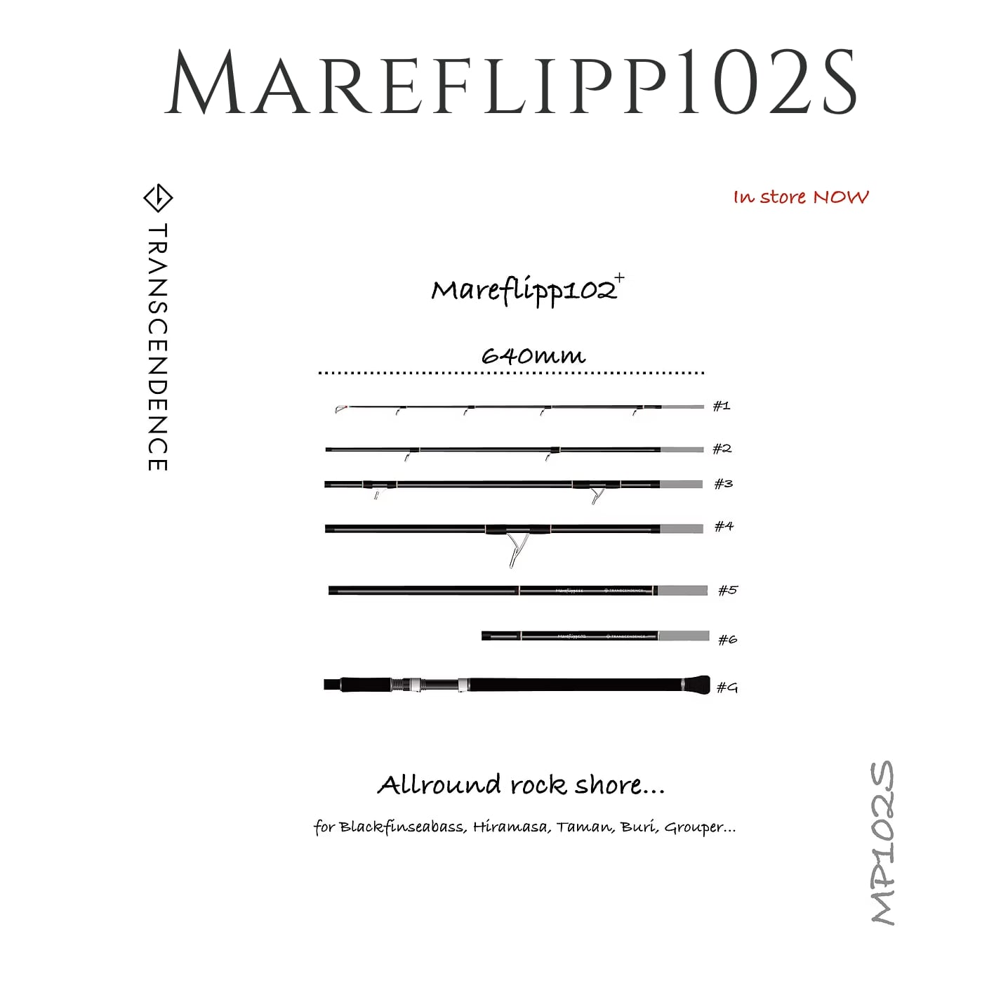 TRANSCENDENCE Mareflipp102S