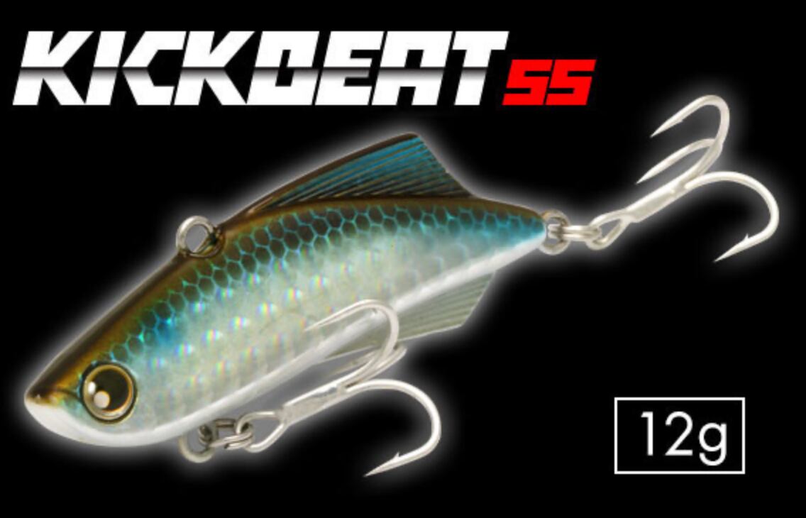 LONGIN KICK BEAT55 12g