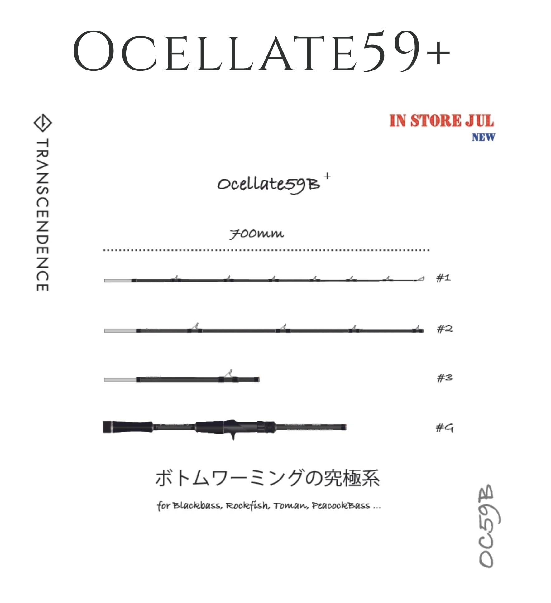 TRANSCENDENCE Ocellate65B+