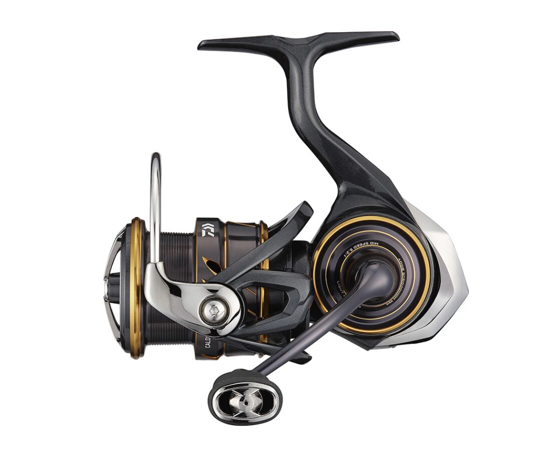 DAIWA 21 CALDIA　LT3000-CXH
