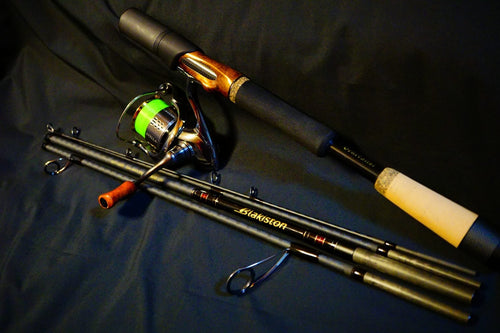 D3 custom lures ブラキストンゼネラリスト　ＢＫＴ－Ｇ６６Ｓ